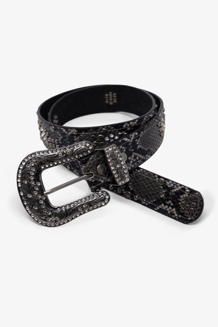 Python Studded Belt - Black/Brown