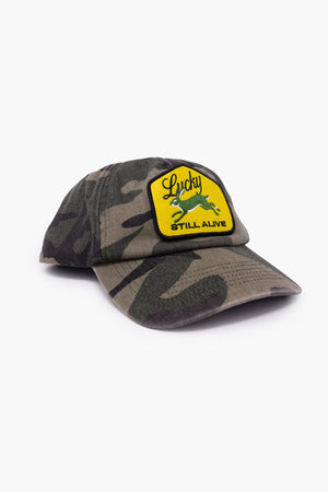 NEW ACCESSORIES image 6